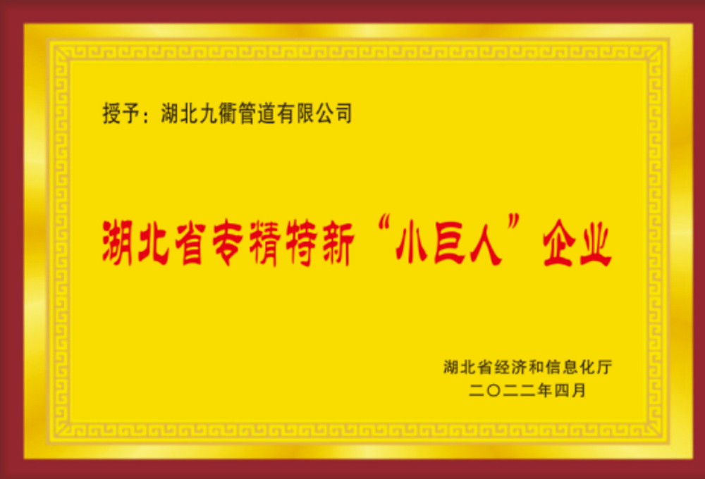 专精特新“小巨人”企业